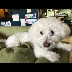 Meet your Posher, Carolyn